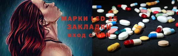 таблы Богородицк