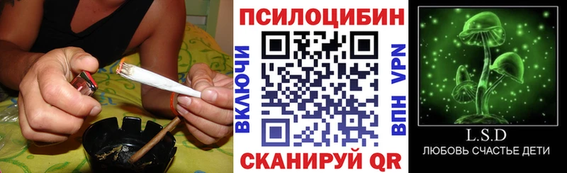 наркошоп  Свободный  Псилоцибиновые грибы мицелий 